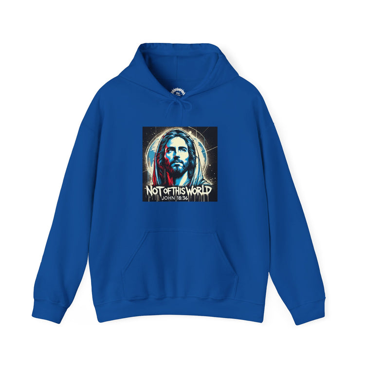 Not of This World Hoodie