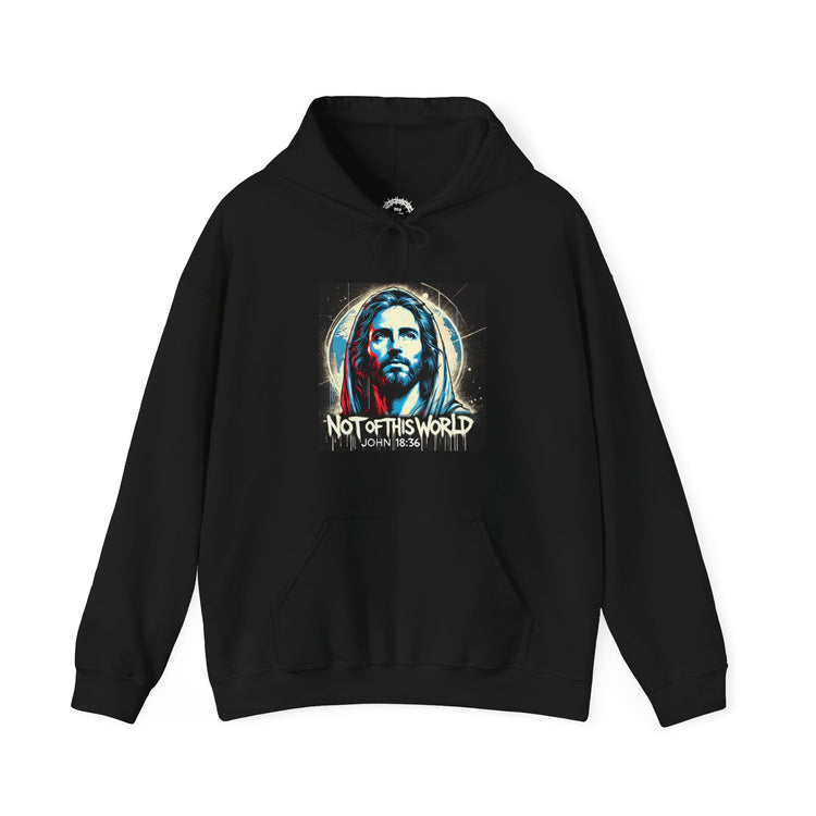 Not of This World Hoodie