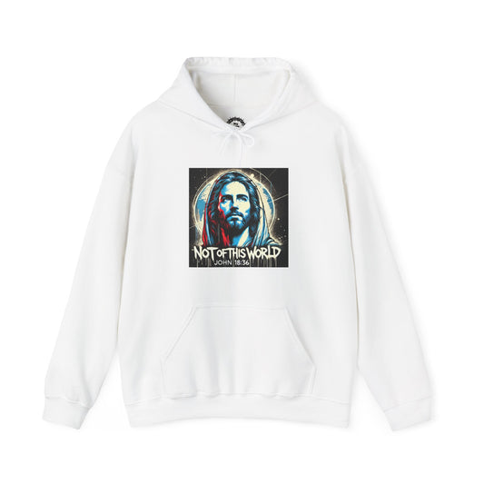 Not of This World Hoodie