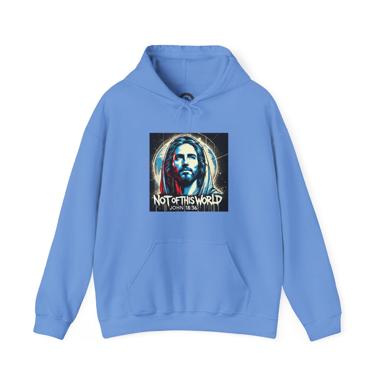 Not of This World Hoodie