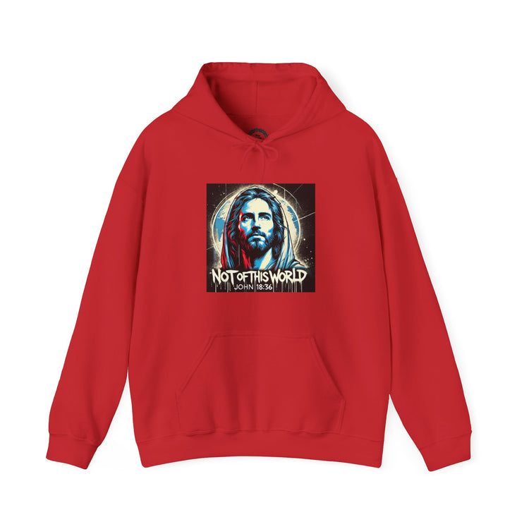 Not of This World Hoodie