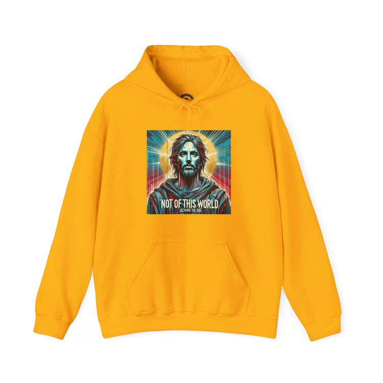 My Kingdom Hoodie