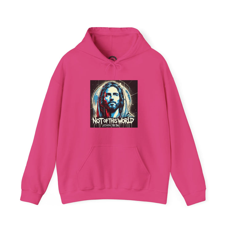 Not of This World Hoodie
