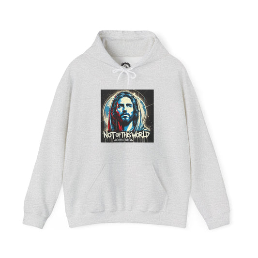 Not of This World Hoodie