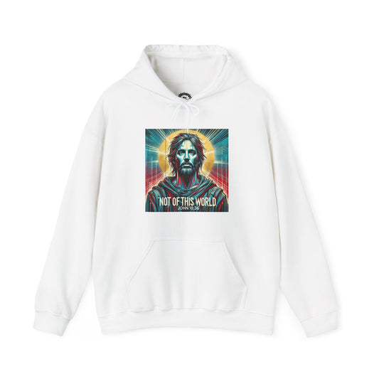 My Kingdom Hoodie
